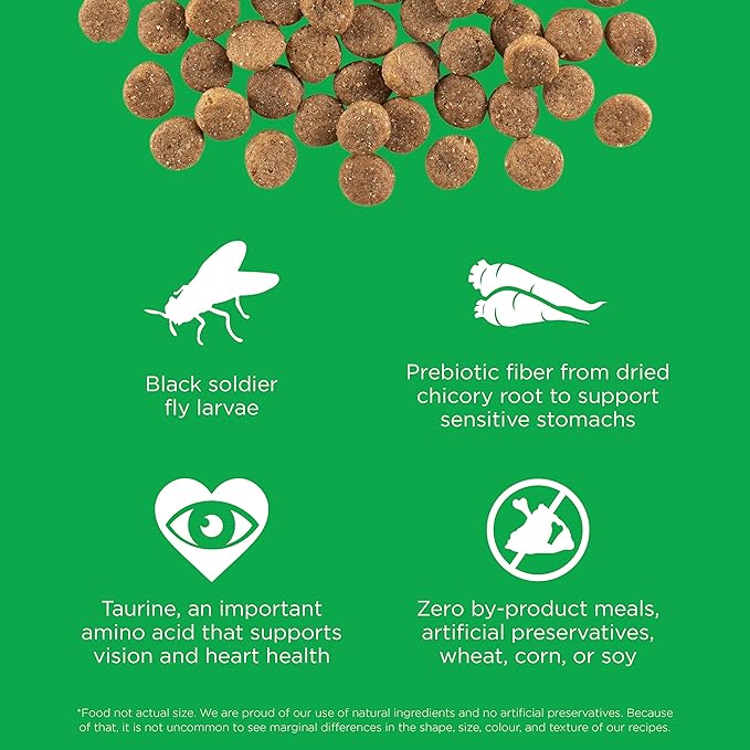 Go! Solutions Sensitivities Limited Ingredient Insect Grain-Free Dry Dog Food, Chicken-Free Kibble Made by Experts for Sensitive Stomachs & Food Allergies, for Puppies, Adults, & Seniors, 22 lb Bag