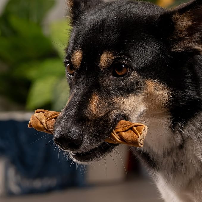 Pet Factory CareChewz Collagen 6-7" Skinny Braided Sticks Dog Chew Treats - Chicken Flavor, 5 Count/1 Pack