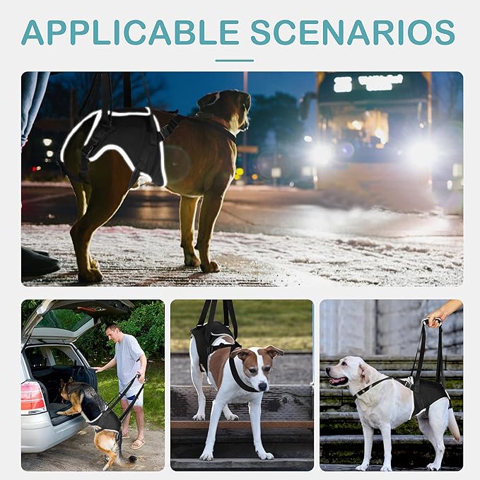 Dog Lift Harness - Post Surgery Support for Senior Dogs & Hip Dysplasia, Adjustable Sling for Small/Medium/Large Dogs, Potty-Friendly & No-Slip Design with Reflective Safety, M