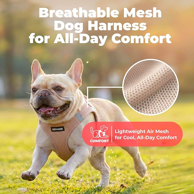 Best Pet Supplies Voyager Step-in Air Harness - All Weather Mesh, Reflective, No Pull Harness for Dogs, Cats - Secure with Hook & Loop Fastener, Buckle, Double D-Rings - Khaki, XXS