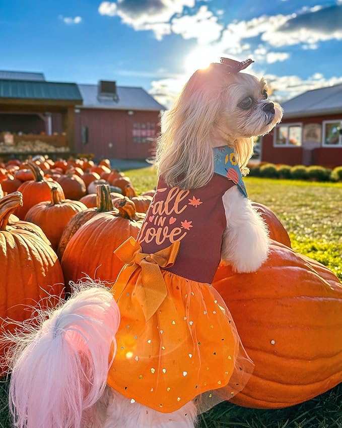 Fitwarm Thanksgiving Fall in Love Dog Dress, Sparkly Dog Clothes for Small Dogs Girl, Holiday Pet Tutu Dress, Cat Outfit, Brown, Orange, XXS
