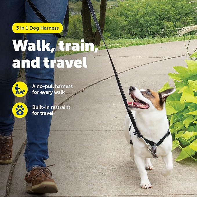 PetSafe 3 in 1 No-Pull Dog Harness for Small Dogs- Walk, Train or Travel - Helps Pets from Pulling on Walks - Seatbelt Loop Doubles as Quick Access Handle - Reflective - Small, Black