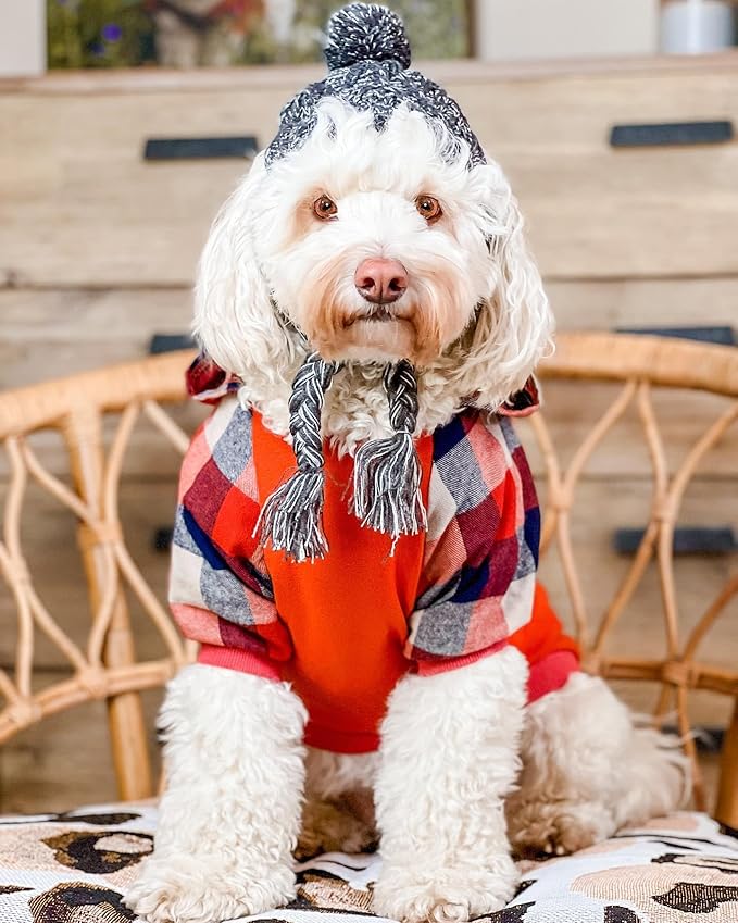 Fitwarm Dog Plaid Shirts Doggie Clothes Puppy Hoodies Cat Hooded T Shirts Pet Outfits Cotton Orange Medium