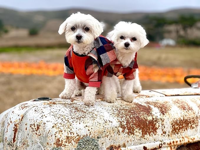 Fitwarm Dog Plaid Shirts Doggie Clothes Puppy Hoodies Cat Hooded T Shirts Pet Outfits Cotton Orange Medium