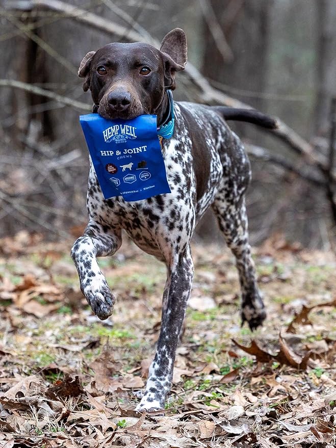 Hemp Well Hip and Joint Soft Chews – Best Joint Supplement for Dogs, Organically Sourced with Hemp, Glucosamine, Chondroitin and Breed Dogs,