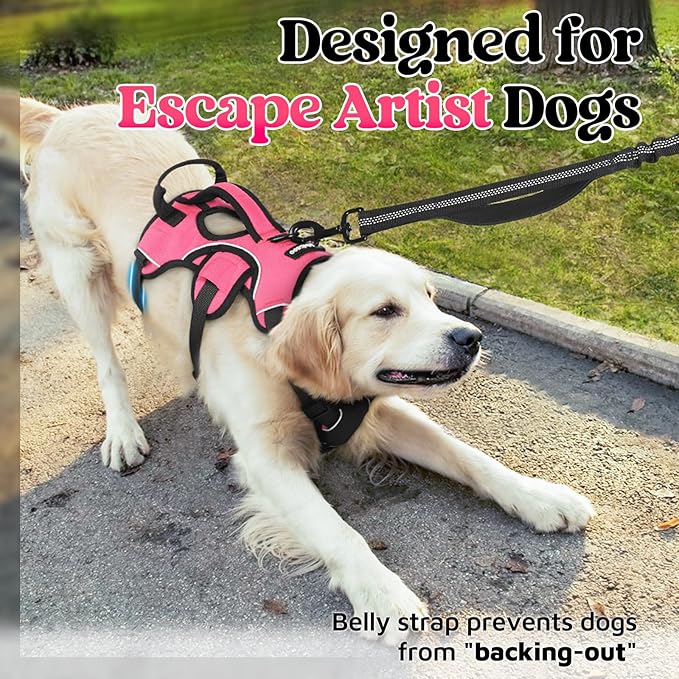 rabbitgoo Escape Proof Dog Harness, Soft Padded Full Body Pet Harness, Reflective Adjustable No Pull Vest with Lift Handle and Leash Clip for Large Dogs Walking Hiking Training, XL, Pink