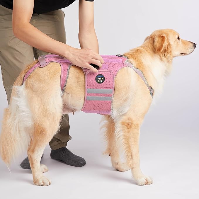 Coodeo Dog Back Brace for Dogs Arthritis, Pet Back Bracer for IVDD, Back Protector Helps Pain Relief, Surgical Recovery and Rehabilitation, Dogs Back Disease Prevention. (Pink,Small)