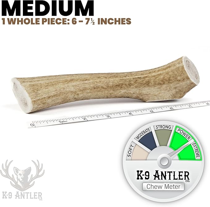 Elk Antlers for Dogs – Medium Whole (6-7.5 Inch), Durable Chew for Aggressive Chewers, USA Sourced, Naturally Shed & Ethically Harvested