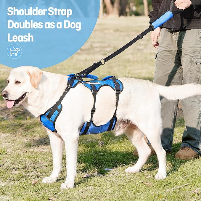 Dog Lift Harness for Medium Dogs, Full Body Support Sling with 3 Handles and Shoulder Strap, Carrying Vest for Senior Dogs with Arthritis or Joint Injuries, Stairs Assistance, Blue, Medium