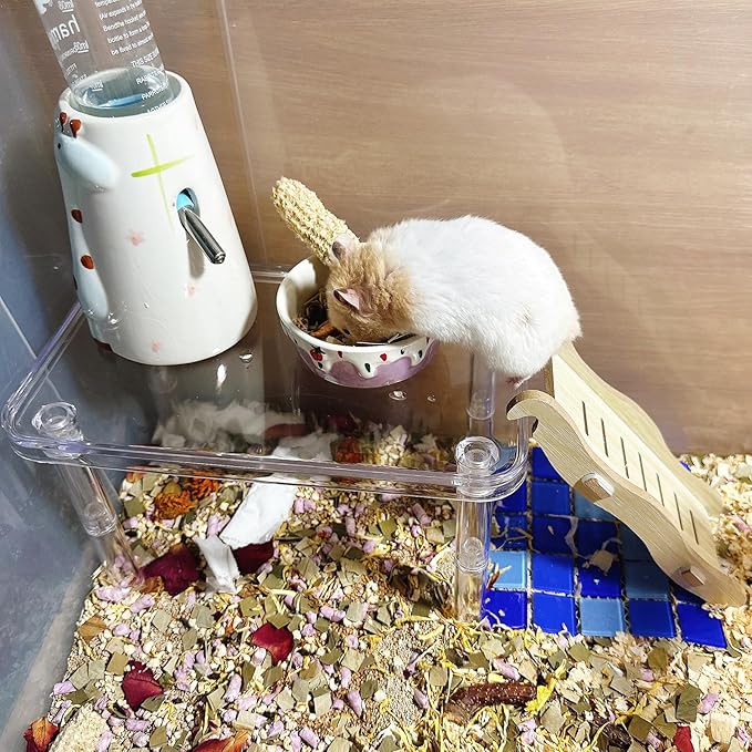 Hamster Platform Acrylic Small Animal Play Activity Resting Stand Climbing Cage Toy with Ladder for Dwarf Syrian Hamsters Gerbils Mice Sugar Glider
