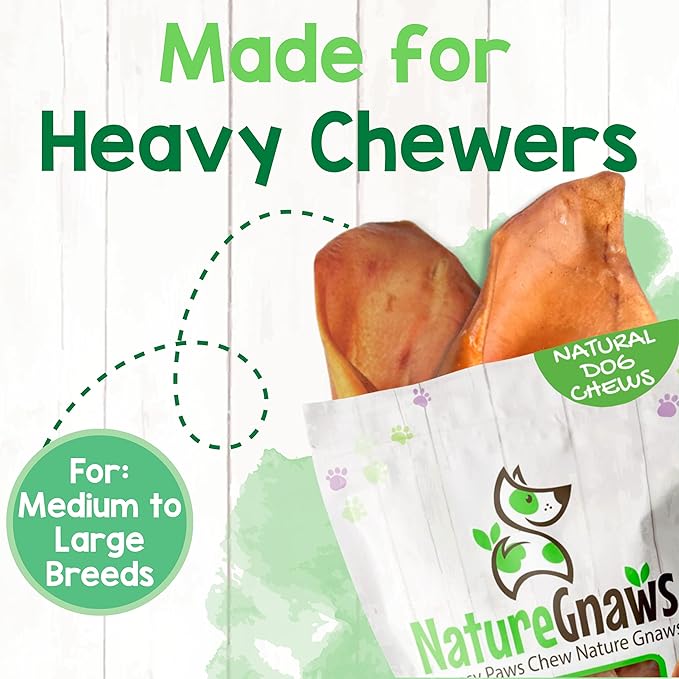 Nature Gnaws Pig Ears for Dogs (8 Count) - Thick Long Lasting for Aggressive Chewers and Large Dogs - Natural Pork Dog Chew Bones - Rawhide Free