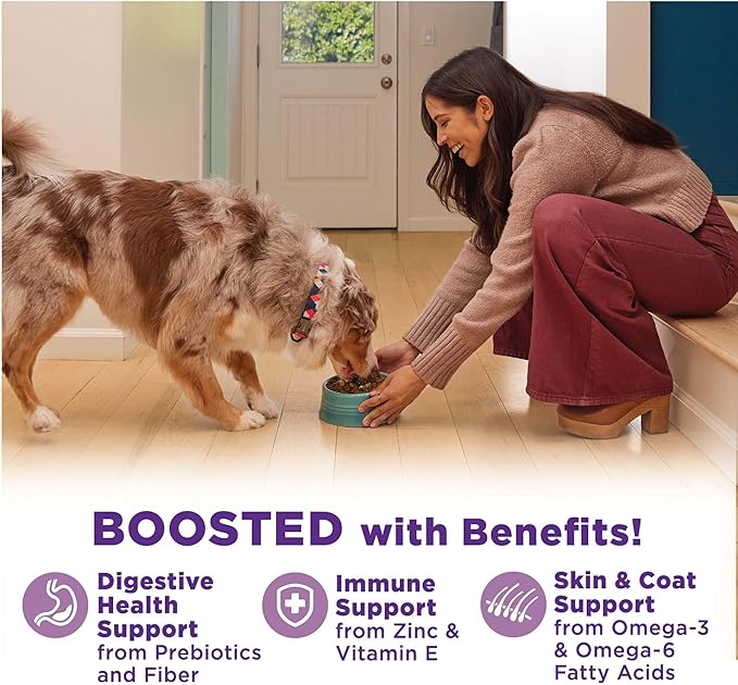 Wellness Bowl Boosters Hearty Toppers, Wet Dog Food Topper for Small, Medium, & Large Breeds, Grain Free, Natural, Chicken & Pumpkin in Broth, 5.5 Ounce Pouch (Pack of 12)