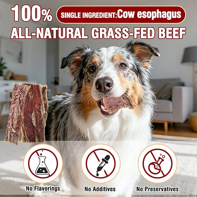 2.83 OZ Beef Esophagus Dog Treats,Single Ingredient All Natural Healthy Chews for Dogs,High Protein Long Lasting Chews for Small & Large Dogs (2.83 OZ)