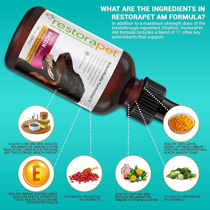 RestoraPet 2-Pack Dog & Cat Bacon Liquid Multivitamin | Dog Arthritis Pain Relief | Hip & Joint Vitamins for Dogs - Anti Inflammatory Supplement for Dogs & Cats | Organic & Non-GMO, Vet Approved
