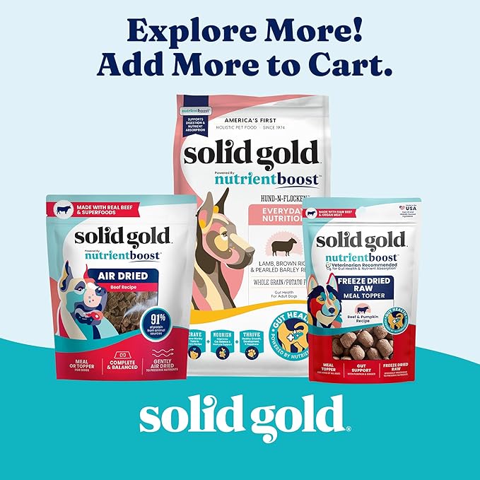 Solid Gold Canned Dog Food for Adult & Senior Dogs - High Protein Wet Dog Food w/Real Lamb, Whole Grains & Probiotics for Gut Health & Immunity - Small, Medium & Large Breed Dogs - 6ct 12.5oz Cans