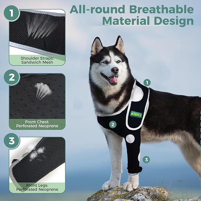 Dog Elbow Protector for Front Leg, Helps Protect Against Hygroma, Calluses, Arthritis, Dysplasia & Pressure Sores, Anti-Licking Support with Reflective Design, Right Leg, Size M
