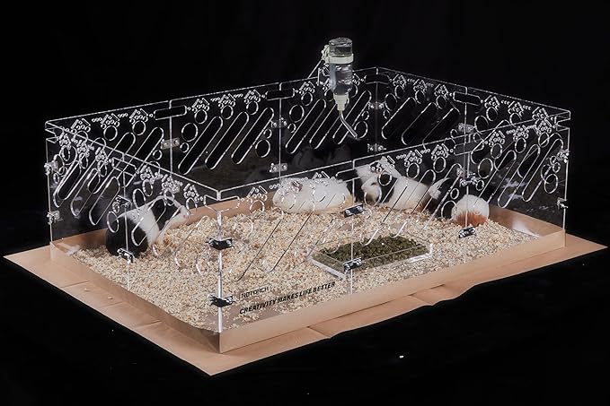 Acrylic Guinea Pig Cages - 3x2ft Small Animal Cage | DIY Extendable | Easy-to-Clean Disposable Bottom (Without Lid)