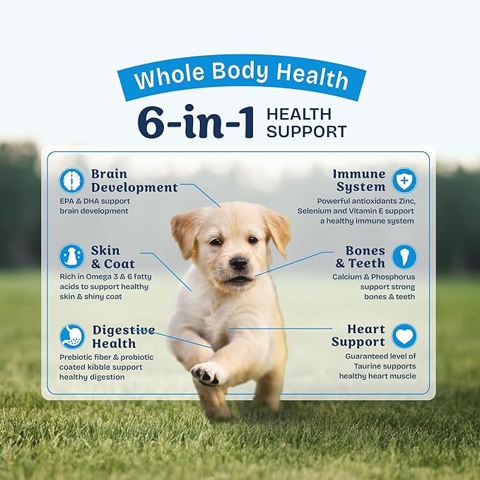 Natural Balance Health Protection Puppy Dry Dog Food – Whole Body Health, Easy on Digestion Dog Food Made with Chicken, Brown Rice & Pumpkin for Puppies - 12lbs.