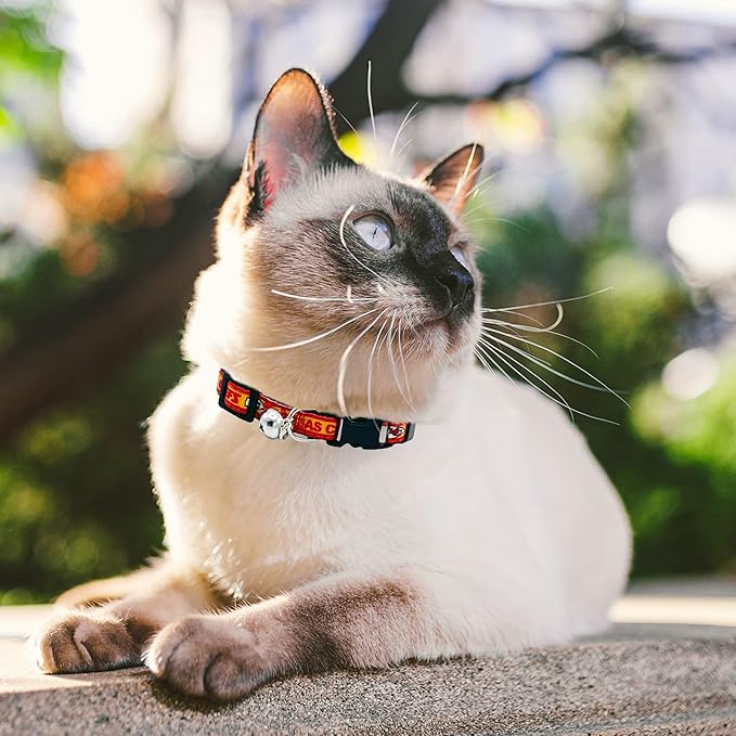 NFL CAT Collar Kansas City Chiefs Satin Cat Collar Football Team Collar for Dogs & Cats. A Shiny & Colorful Cat Collar with Ringing Bell Pendant
