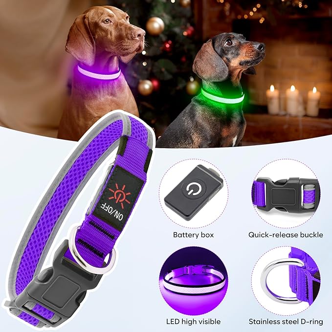 Flashseen LED Dog Collar, Light Up Dog Collar USB Rechargeable, Brightest Dog Lights for Night Walking, Adjustable Dog Collar Light for Dog Safety (Purple, Medium)