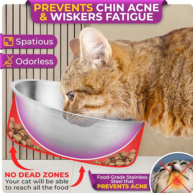 Raised cat Bowls for Indoor Cats by WinTruffles, Elevated cat Bowls, Tilted and Elevated Anti Vomiting Cat Dishes for Food and Water, Set of 3 Stainless Steel Bowl