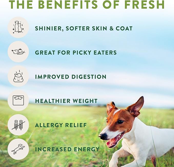 Select Dog Joy Chicken Treats, 6.4 Oz