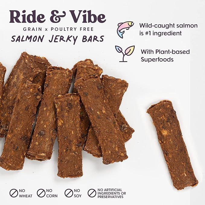Bundle x Joy Ride & Vibe Salmon Jerky for Dogs - 16 Oz Bag, Natural Superfood - Corn, Poultry, Soy & Grain Free Salmon Dog Treats Made in USA Only