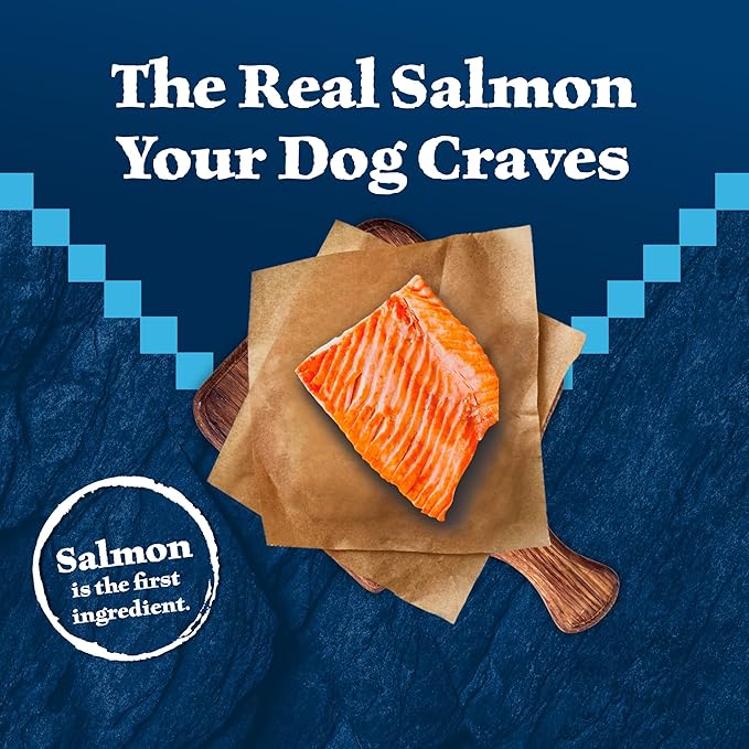 Blue Buffalo Wilderness High-Protein Natural Dry Food for Senior Dogs, Salmon Recipe, 13-lb. Bag