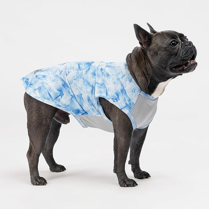 Fitwarm 2 Pack Ice Lemon UPF 50+ UV Sun Protection Dog Shirt, Lightweight Dog Cooling Vest, Quick Dry Summer Clothes for Small Dogs Boy Girl, Pet Outfit, Blue, Yellow, White, XXL