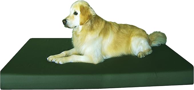 Dogbed4less Jumbo Orthopedic Memory Foam Dog Bed for Extra Large Dogs with Durable Green Canvas Cover, Waterproof Liner and Extra Brown Microsuede Antislip Pet Bed Duvet, Gel Cooling 55"X47"X4" Pad.