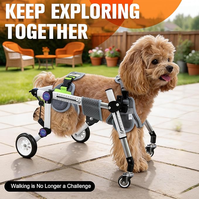 Dog Wheelchair 4 Wheels Adjustable, Full Body Support Dog Cart for Front & Rear Legs, Lightweight Mobility Aid for Disabled Small Dogs