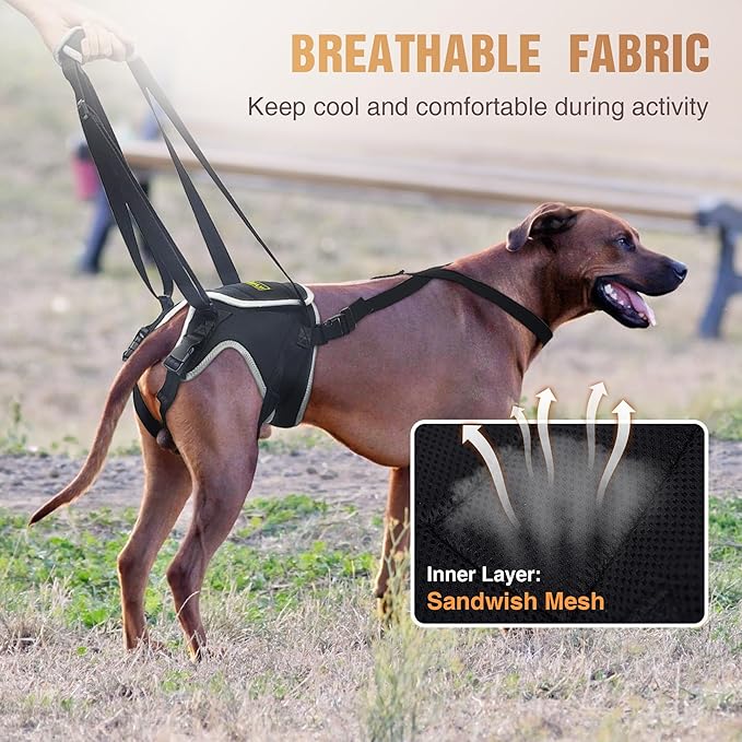 Dog Lift Harness for Extra Large Dogs, Sling for Dogs Back Legs with Handle, Helps Support Weak Hind Legs and Prevent Slipping, Breathable and Easy to Wear, Size XL