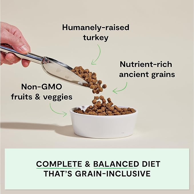 Open Farm, Ancient Grains Dry Dog Food, Protein-Rich & Nutrient Dense, 90% Animal Protein Mixed with Non-GMO Fruits, Veggies and Superfoods, Homestead Turkey Recipe, 4lb Bag