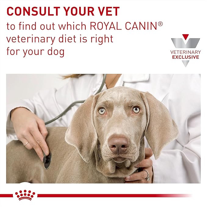 Royal Canin Veterinary Diet Canine Gastrointestinal Low Fat Adult Dry Dog Food, 17.6 lb Bag