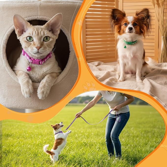 48 Pcs Dog Collar and Leash Set, Nylon Puppy Collars Bulk, Polypropylene Adjustable Paw Print Puppy Col with Quick Release Buckle, for Puppies and Kittens, Multicolor