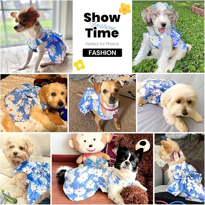 ABRRLO Cute Dog Dress Small Dog Clothes for Girls Female Puppy Outfits Blue Daisy Pet Summer Clothes Bowknot Doggy Cat Princess Dress Harness Set for Holiday Birthday Party Costume Clothing (Blue,M)