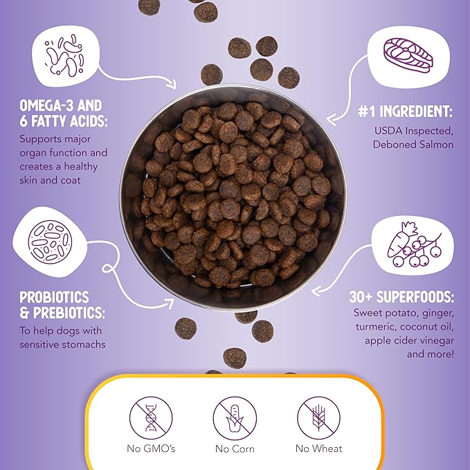 Health Extension Grain Free Salmon & Sweet Potato Dry Dog Food - 30+ Superfoods and Probiotics for All Life Stages (23.5 lb)