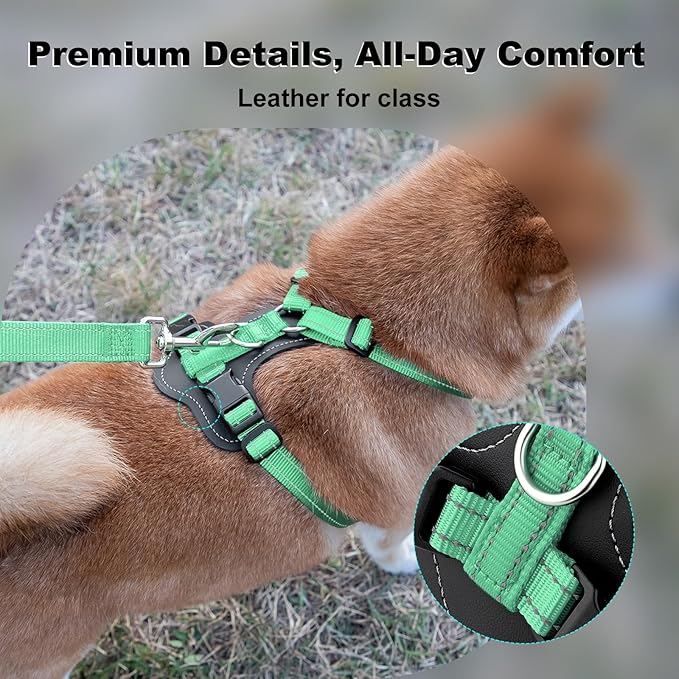 Plutus Pet Adjustable No Pull Dog Harness with Leather Accents, Heavy Duty Reflective Nylon Vest for Training, Hiking, Easy Walk Harness for Small, Medium, Large Dogs (Teal, XL)