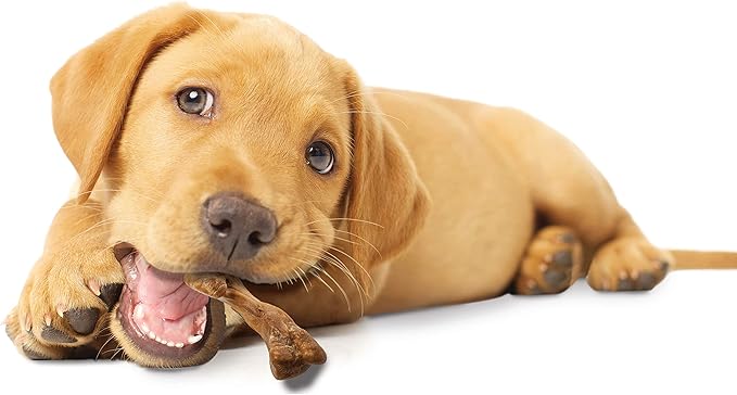 Nylabone Healthy Edibles Wild Natural Long-Lasting Turkey Flavor Bone Chew Treats for Dogs, Small/Regular (), 4 Count (Pack of 2)
