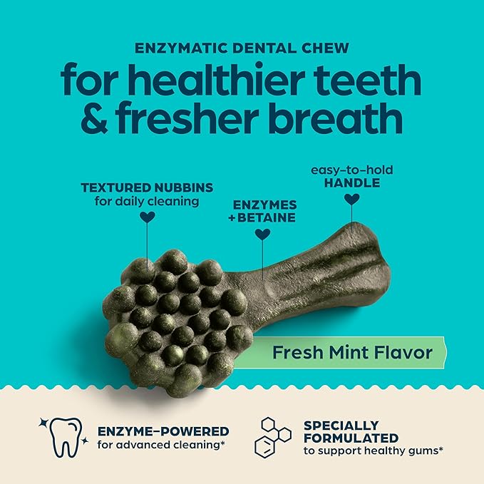 Chewsday Fresh Mint Flavor Dental Chews, Large Dog Treats, 9 Count