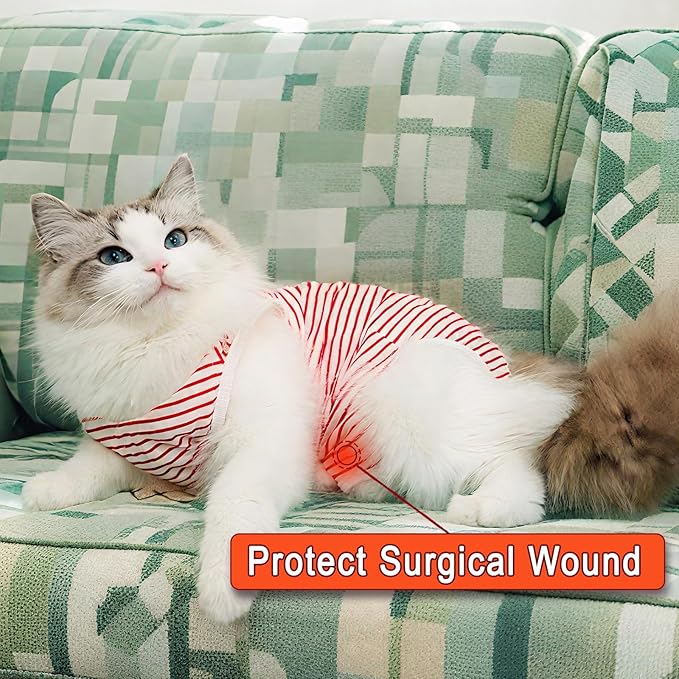 cat Recovery Suit Soft Cat Surgery Recovery Suit Female Cat Onesie for Cats After Surgery,Cone E-Collar Alternative Anti-Licking Protective Outfit Pet Surgical Recovery Pajama Suit