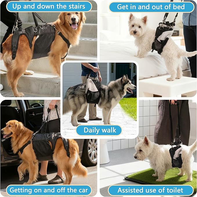 Dual-use Dog Lift Rehab Hareness Canine Sling for Small Pooch Rear Legs and Hip Support,Adjustable and Soft Brace Strap for After ACL Surgery, Helps Senior, Injured and Disabled K9