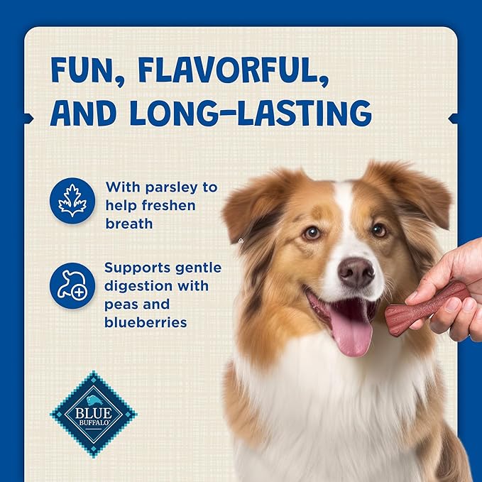Blue Buffalo Dental Bones Regular Natural Dental Chew Dog Treats Bag Jumbo Pack, 36oz. Bag