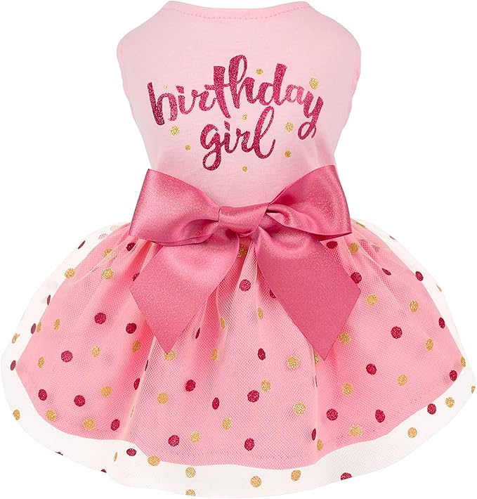 Fitwarm Birthday Girl Dog Tulle Dress, Dog Clothes for Small Dogs Girl, Chihuahua Apparel, Pink, X-Small