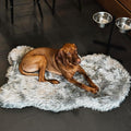 IHAPPYDOG Luxury Faux Fur Orthopedic Dog Bed, Memory Foam Dog Bed for Small, Medium, Large and XL Pets, Fluffy Pet Bed with Waterproof and Washable Cover (Grey, 60"x35")