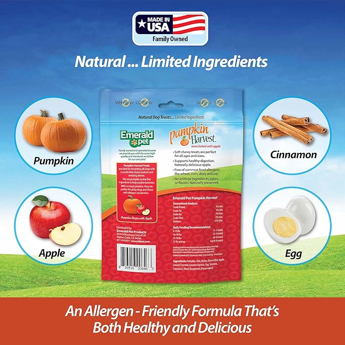 Emerald Pet Pumpkin Harvest Dog Treats — Low-Fat Chewy Natural Treats with Pumpkin for Digestive Health — Meat Free, Poultry Free, Wheat Free — Apple, 6 oz