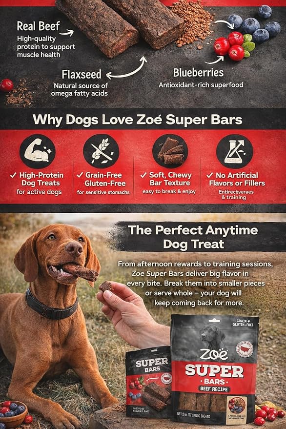 Zoe Super Bars Beef Recipe Dog Treats - Protein Packed Snacks with Berries and Flax Grain Gluten Free 32 oz Bag Big of Made The Finest Ingredients, 2 Pound (Pack 1)