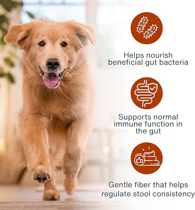 JustFoodForDogs JustFresh Boost Sensitive Stomach Dog Food Toppers with Fiber for Gut Support & Digestive Health, Human-Grade Fresh Pet Meal Booster, 8 oz Pouches - 8 Pack
