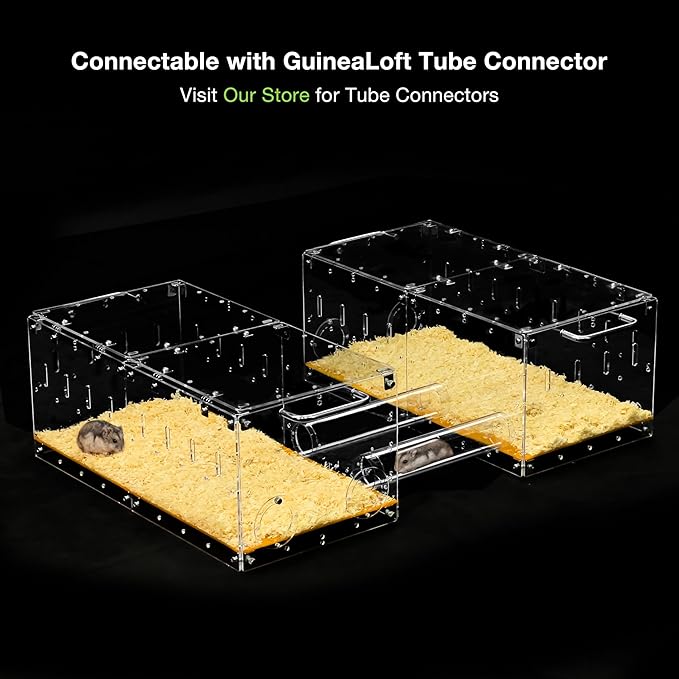 GuineaLoft™ Acrylic Cage (Model-P3B) - Small 2x1 ft Enclosed w/Lid & Bottom for Hamsters, Rats, Mice, Gerbils, Also Works for a Single Guinea Pig, or as a Transport Cage