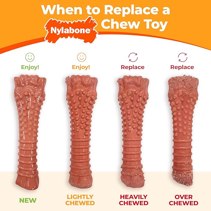 Nylabone Original Bone Power Chew Toy for Dogs, Durable Dog Toys for Aggressive Chewers, Basted Blast Chicken Flavor, Large - Up to 50 lbs, 2 Pack